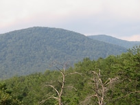View from Deck