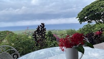 View from the porch