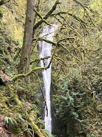 Waterfall in Goldstream Provincial Park