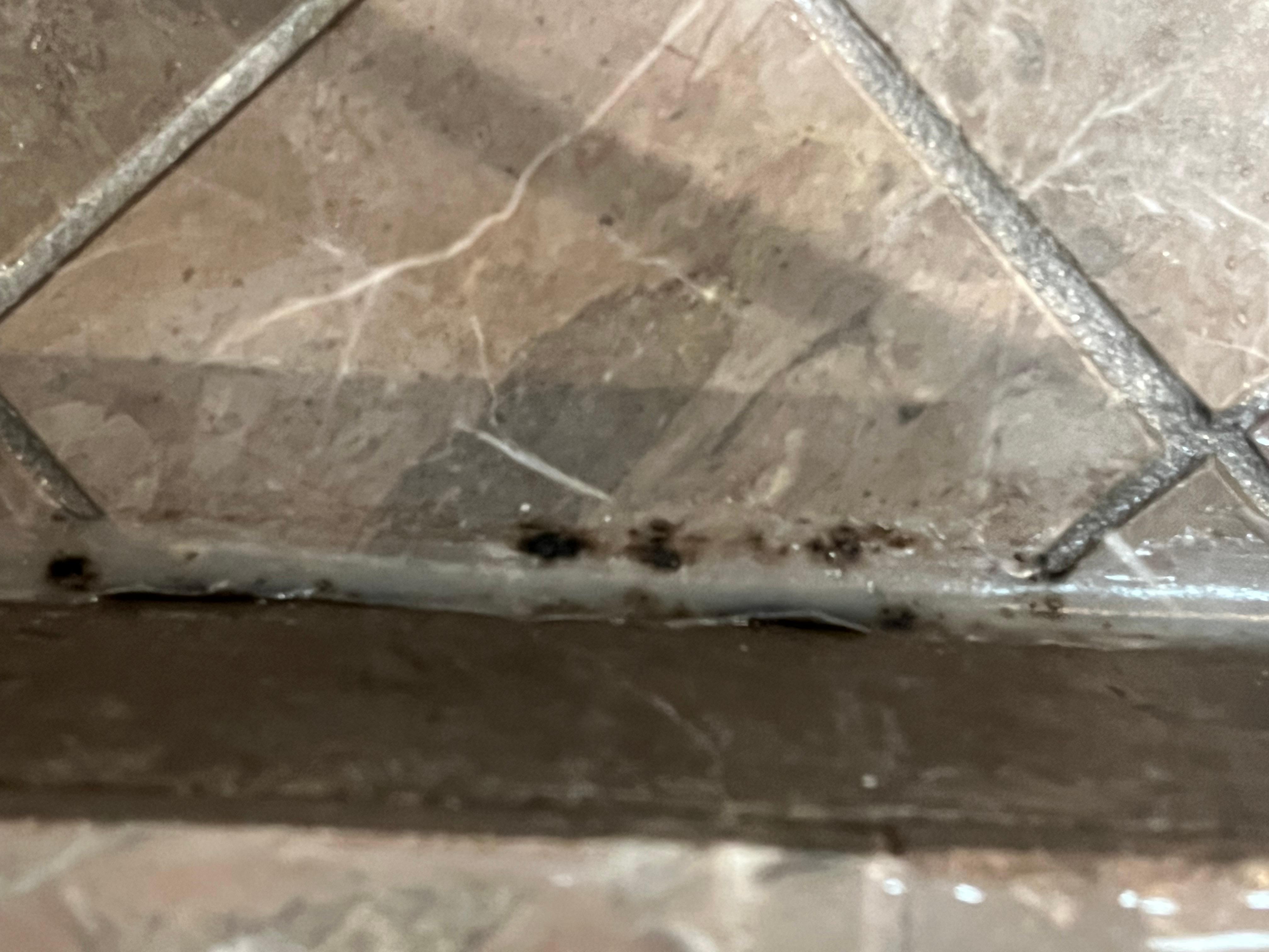 Mold in shower