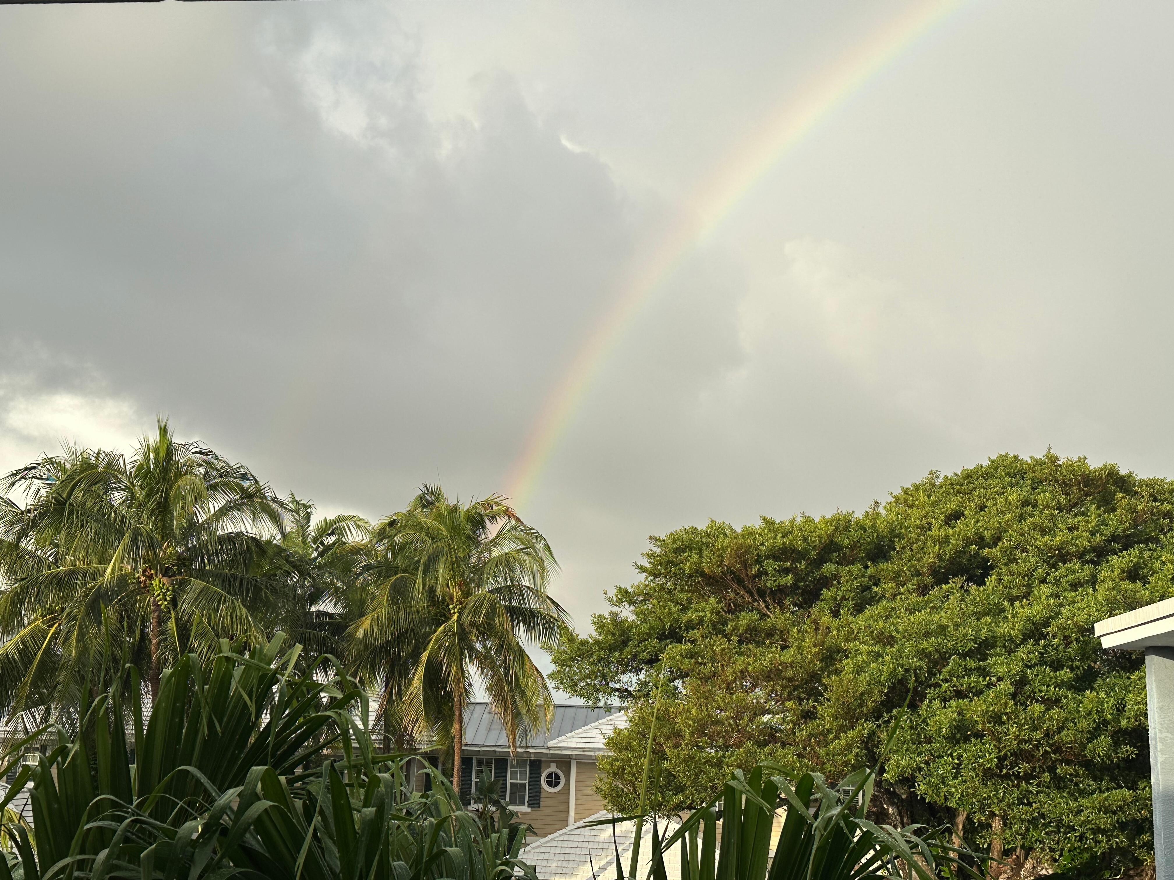 View from our balcony after a light shower 