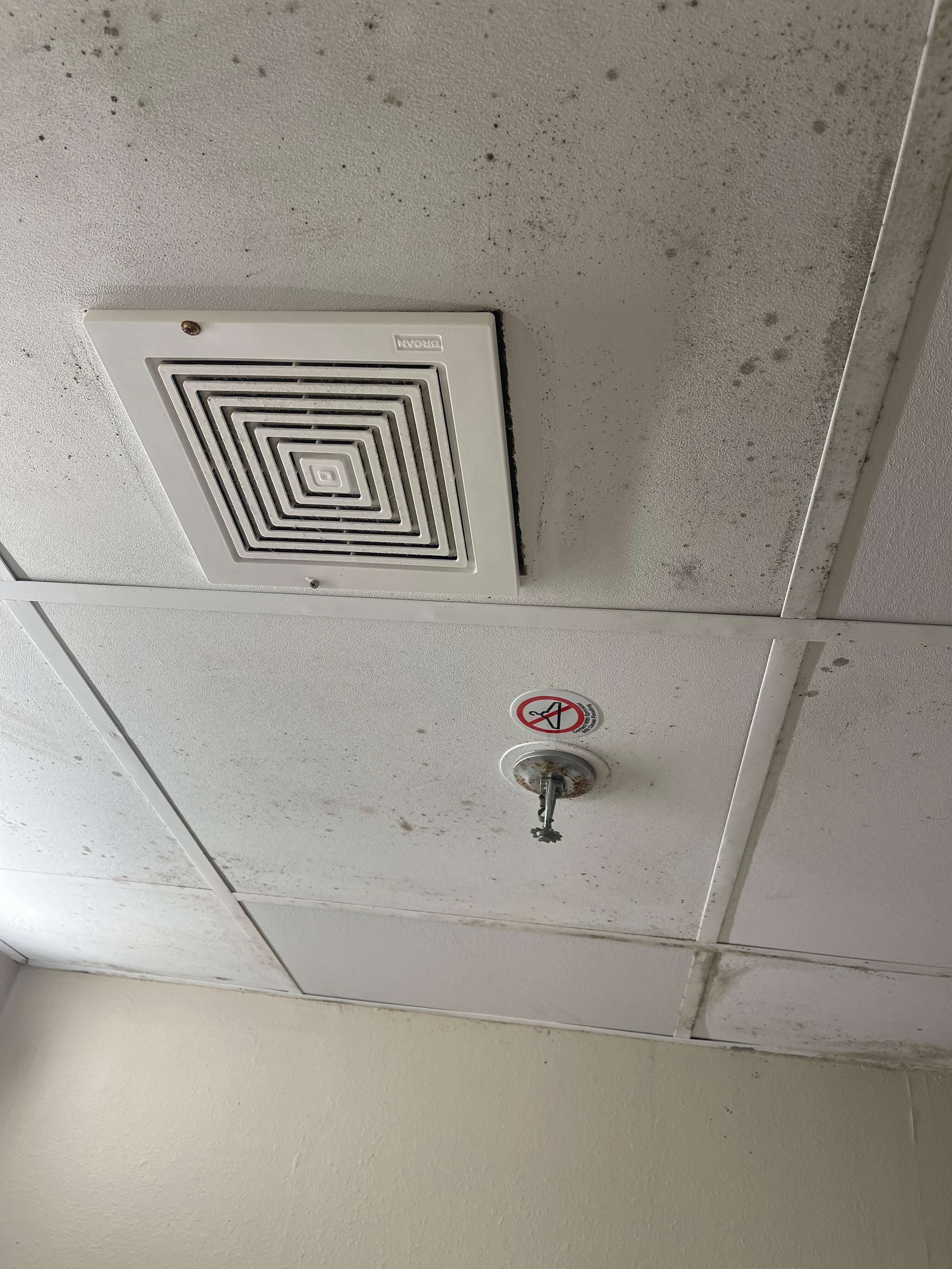 Mold on the ceiling 