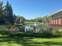 Bower Ponds