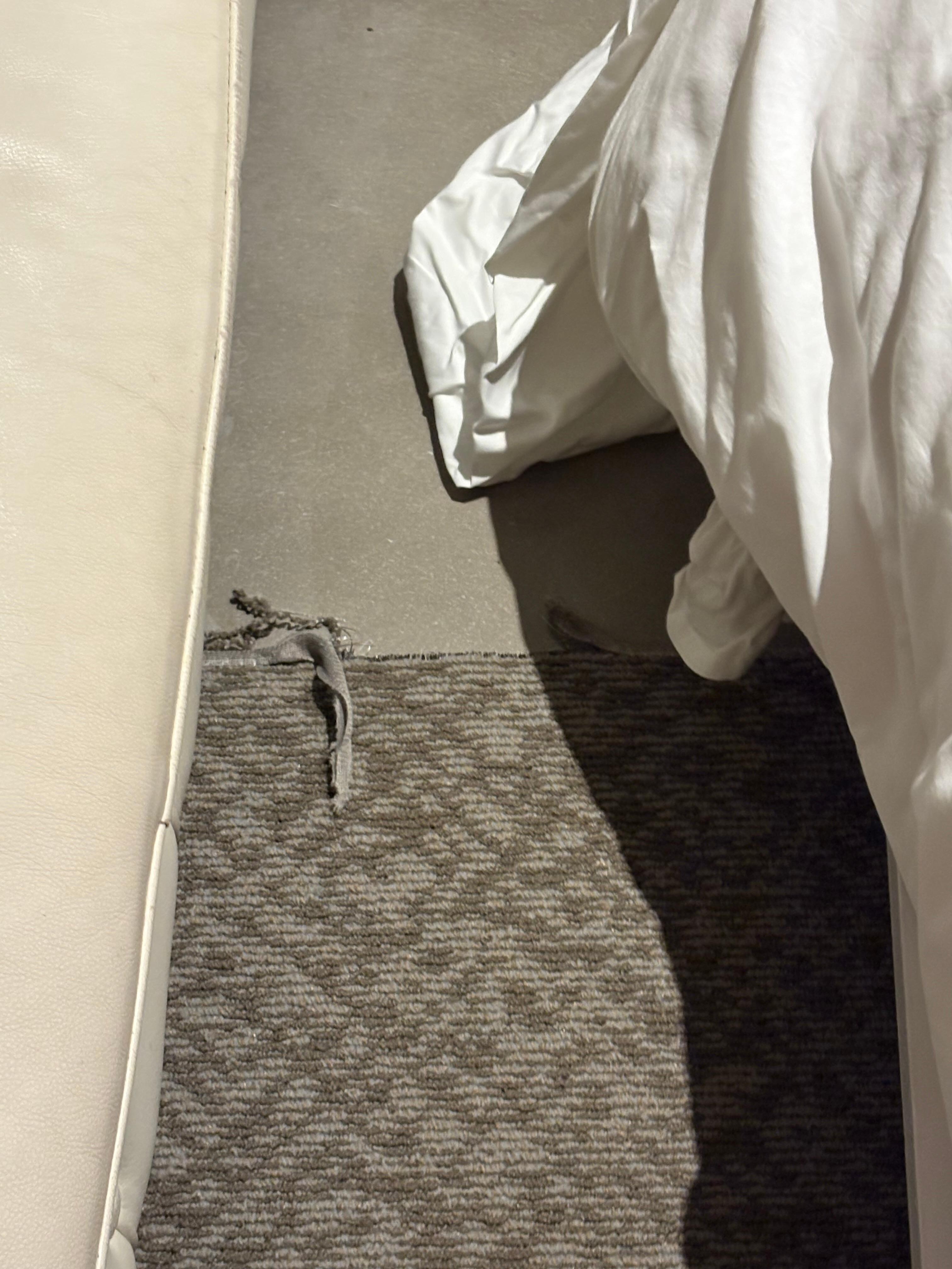 Rug