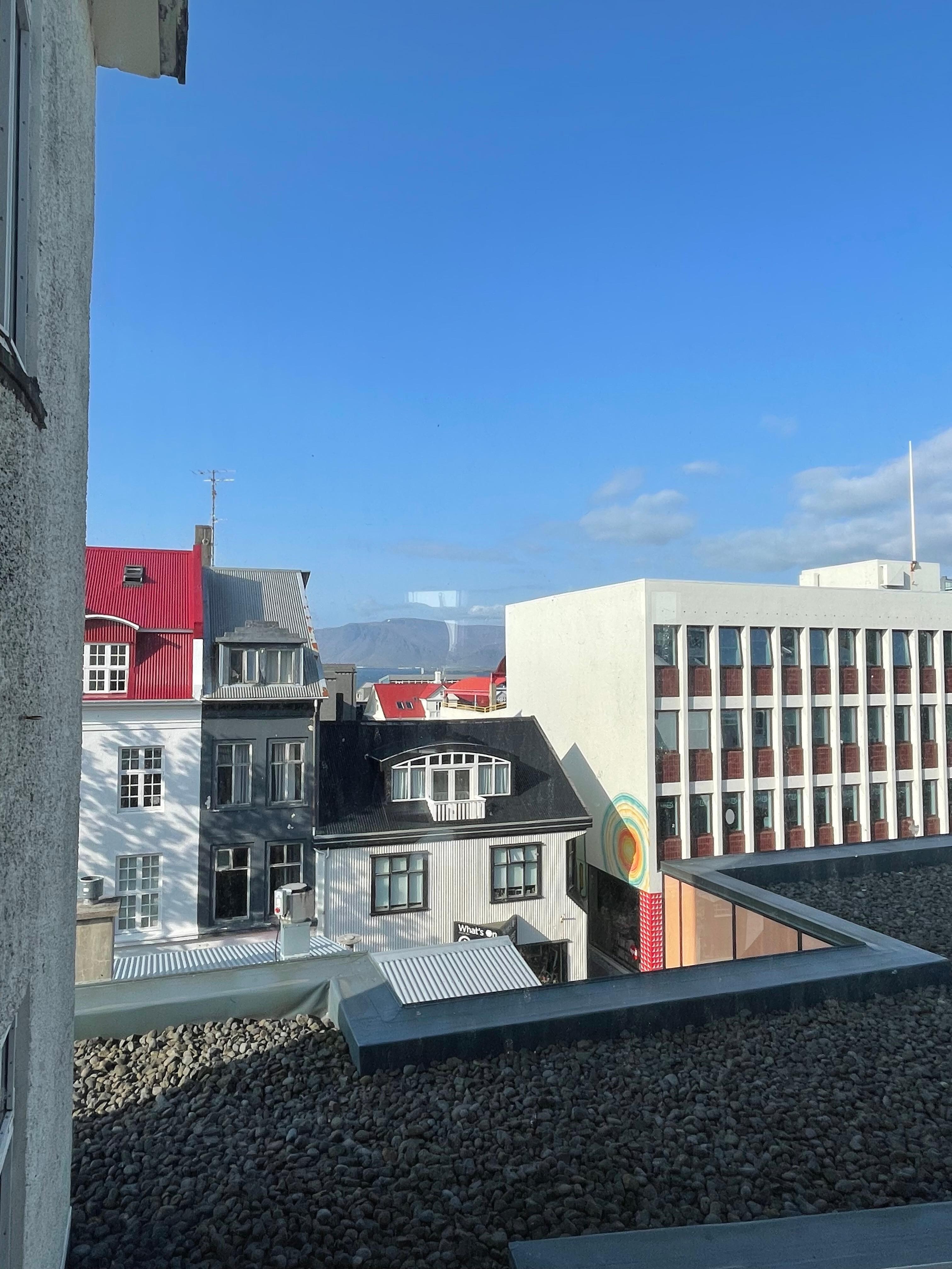 View from the kitchen window 