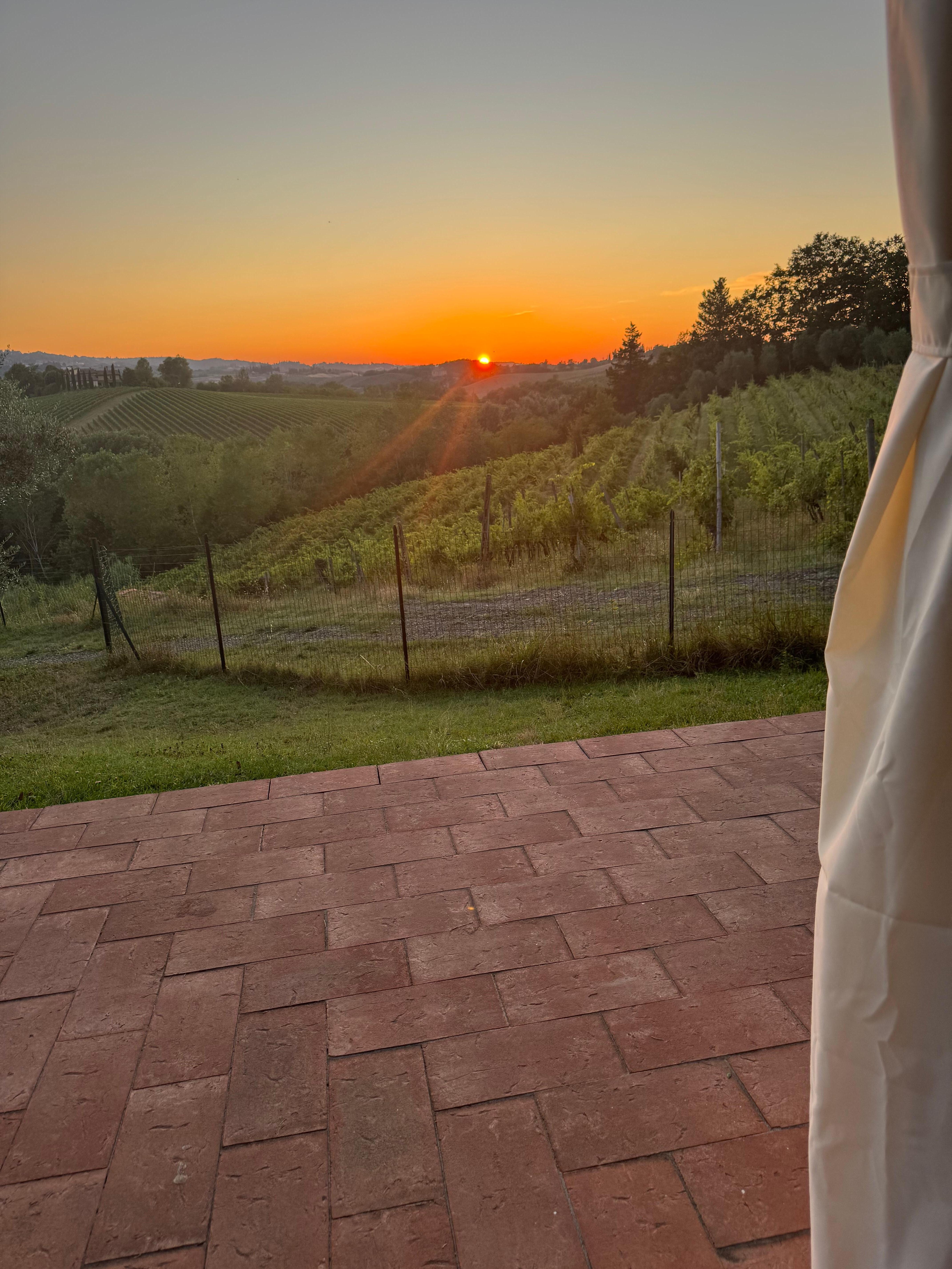 Solnedgang bag vinmarkerne fra den ene af terrasserne.