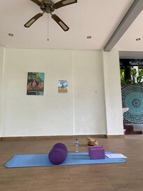 Practicing yoga downstairs for my teacher training