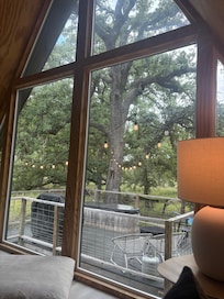 View from inside the cabin