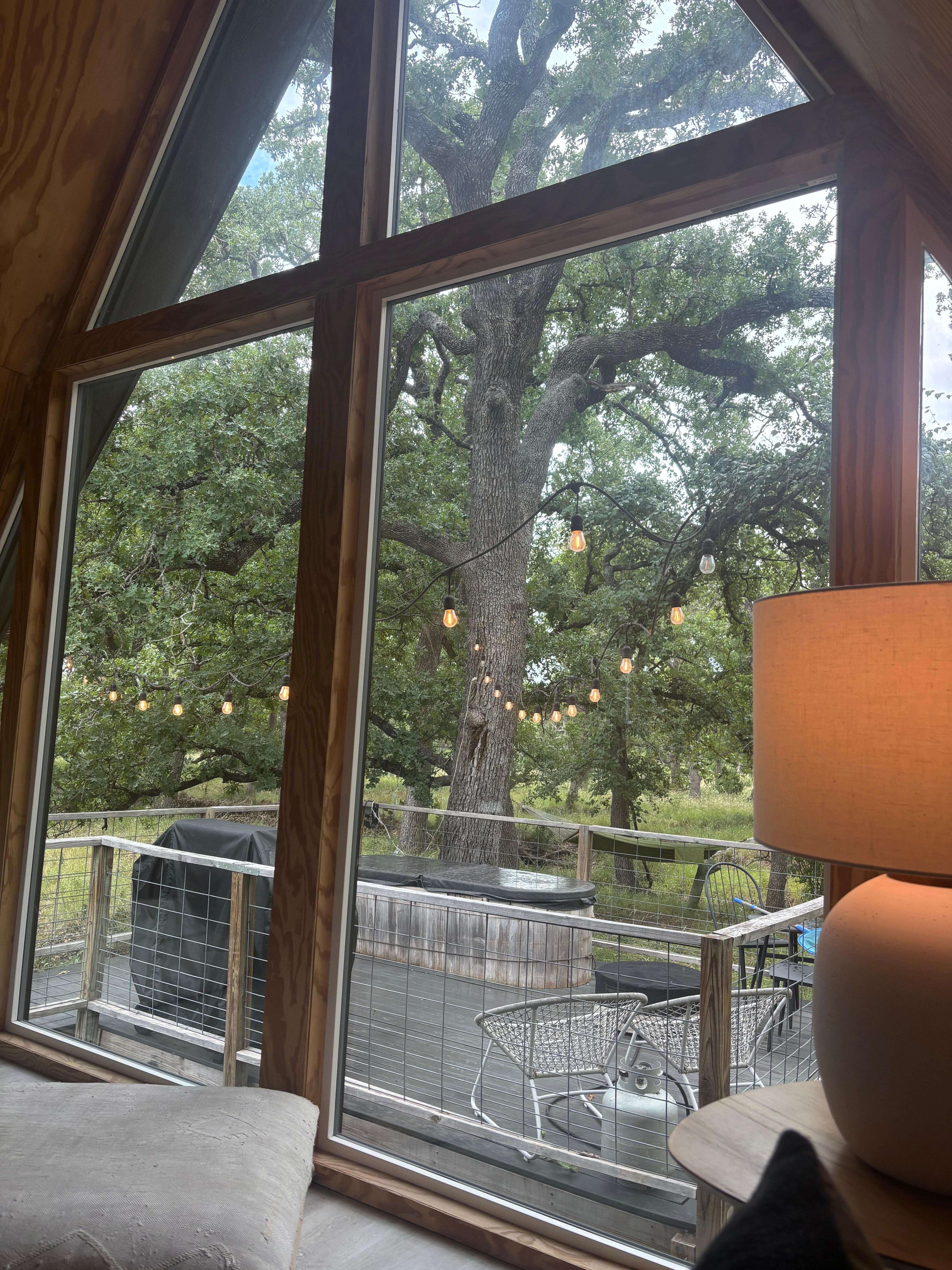 View from inside the cabin