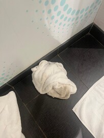 Clean up of water spill showed a very dirty floor