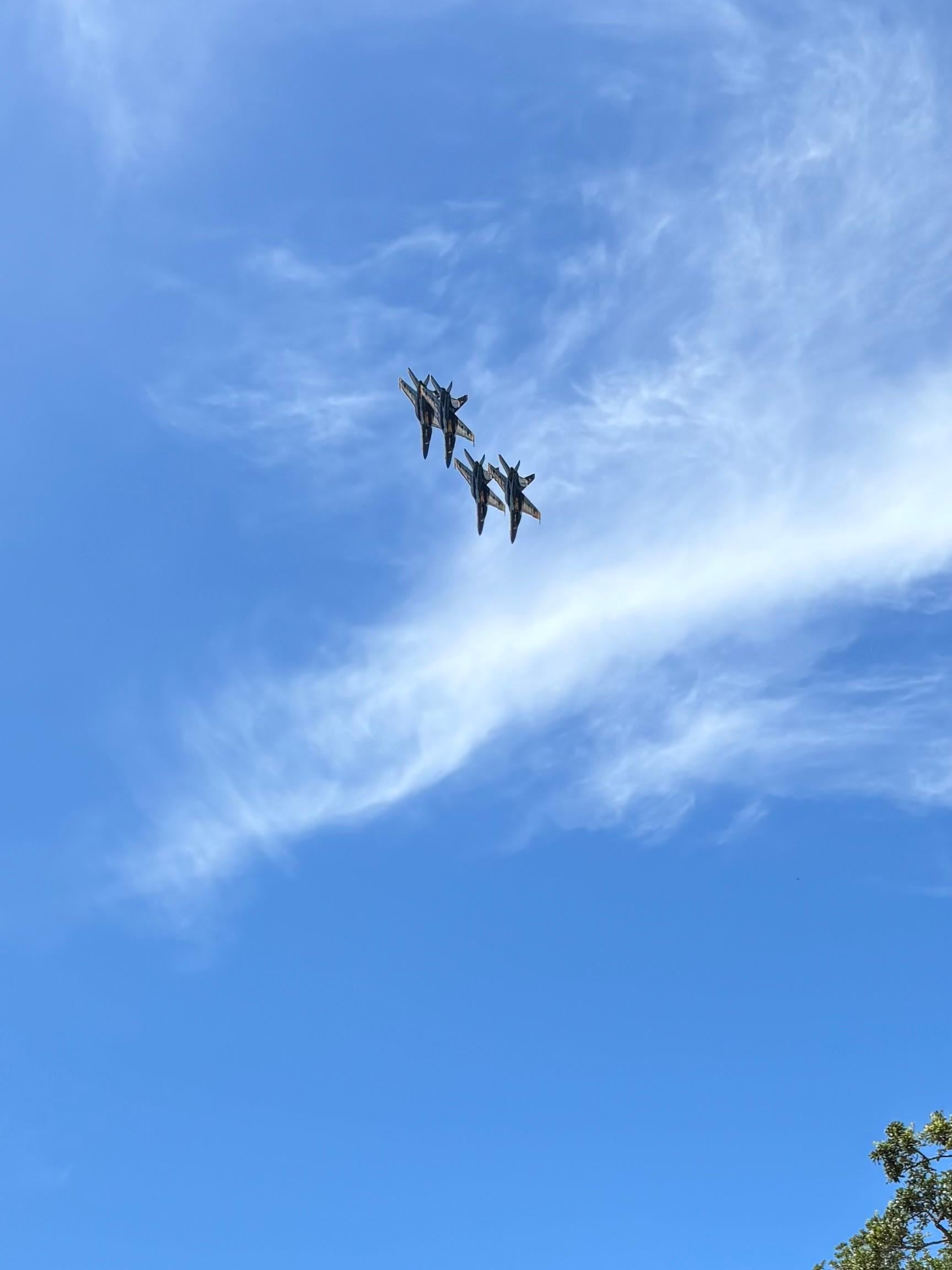 From the back porch! So exciting. 