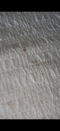 Stains on bed