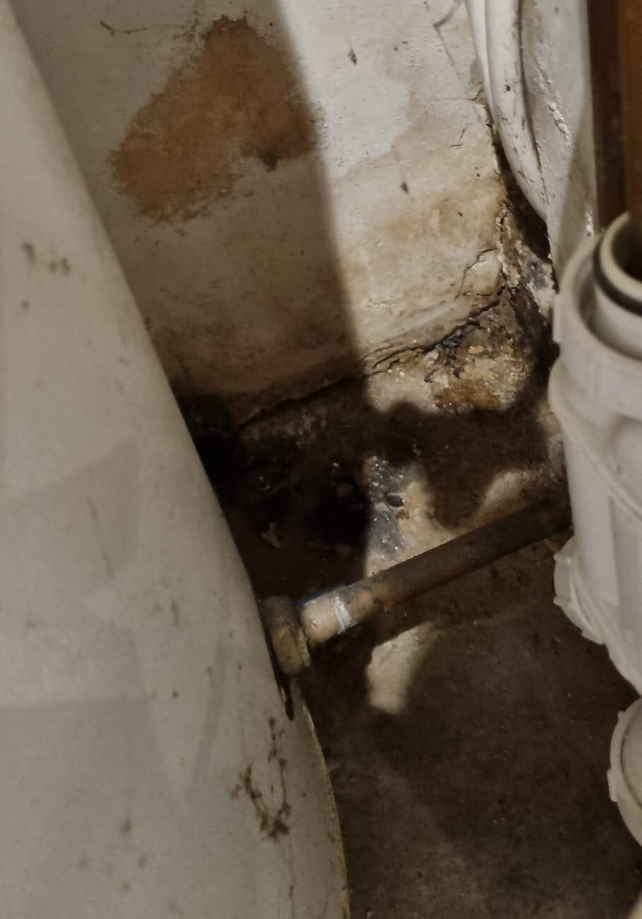 Mould in the cupboard in the living area