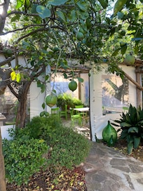 Breakfast amongst the fruit trees.