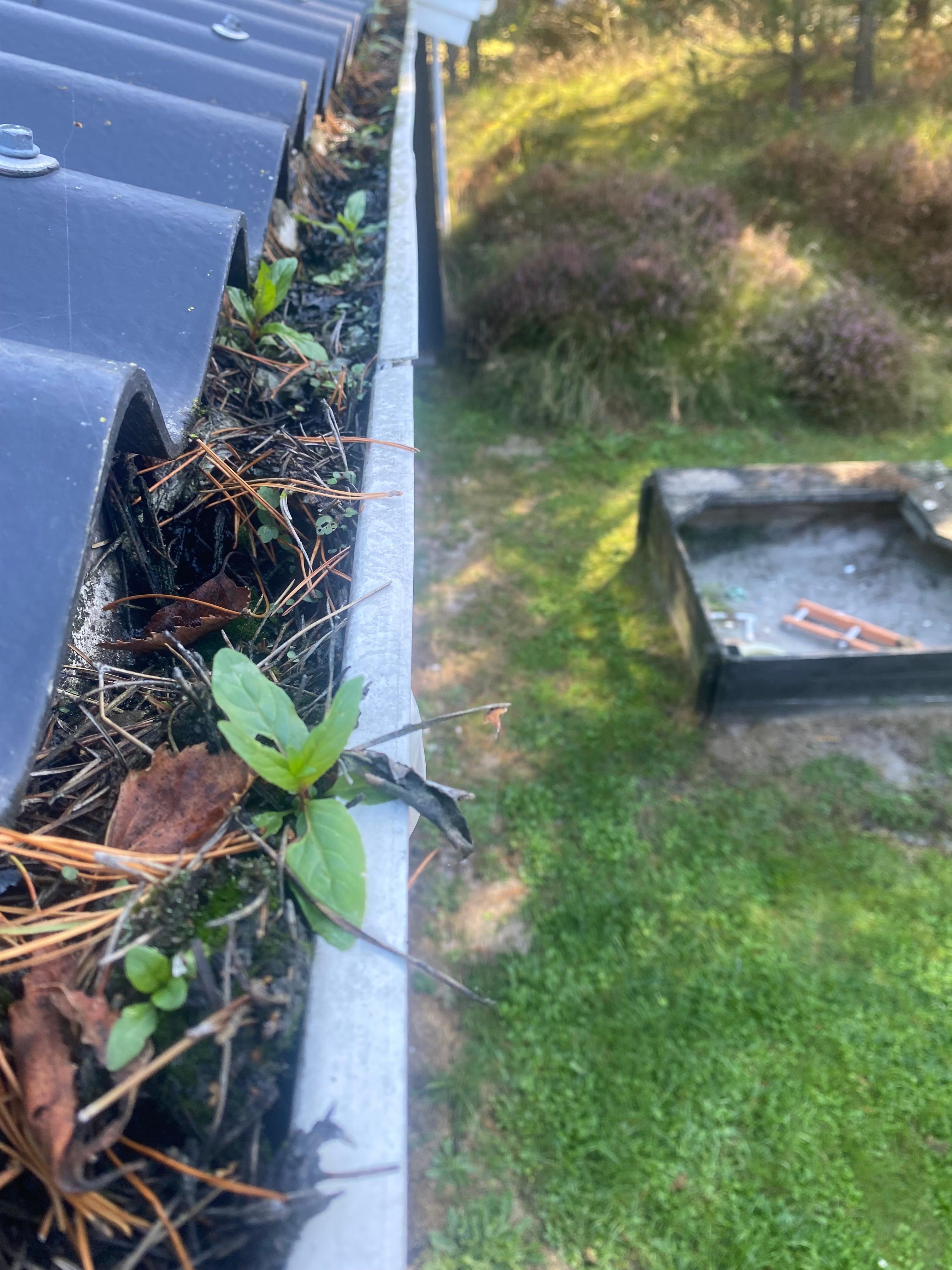 Regenrinnen total verstopft