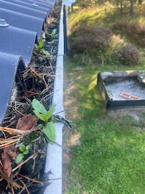 Regenrinnen total verstopft