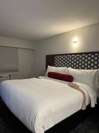 The comfiest bed and spacious room.