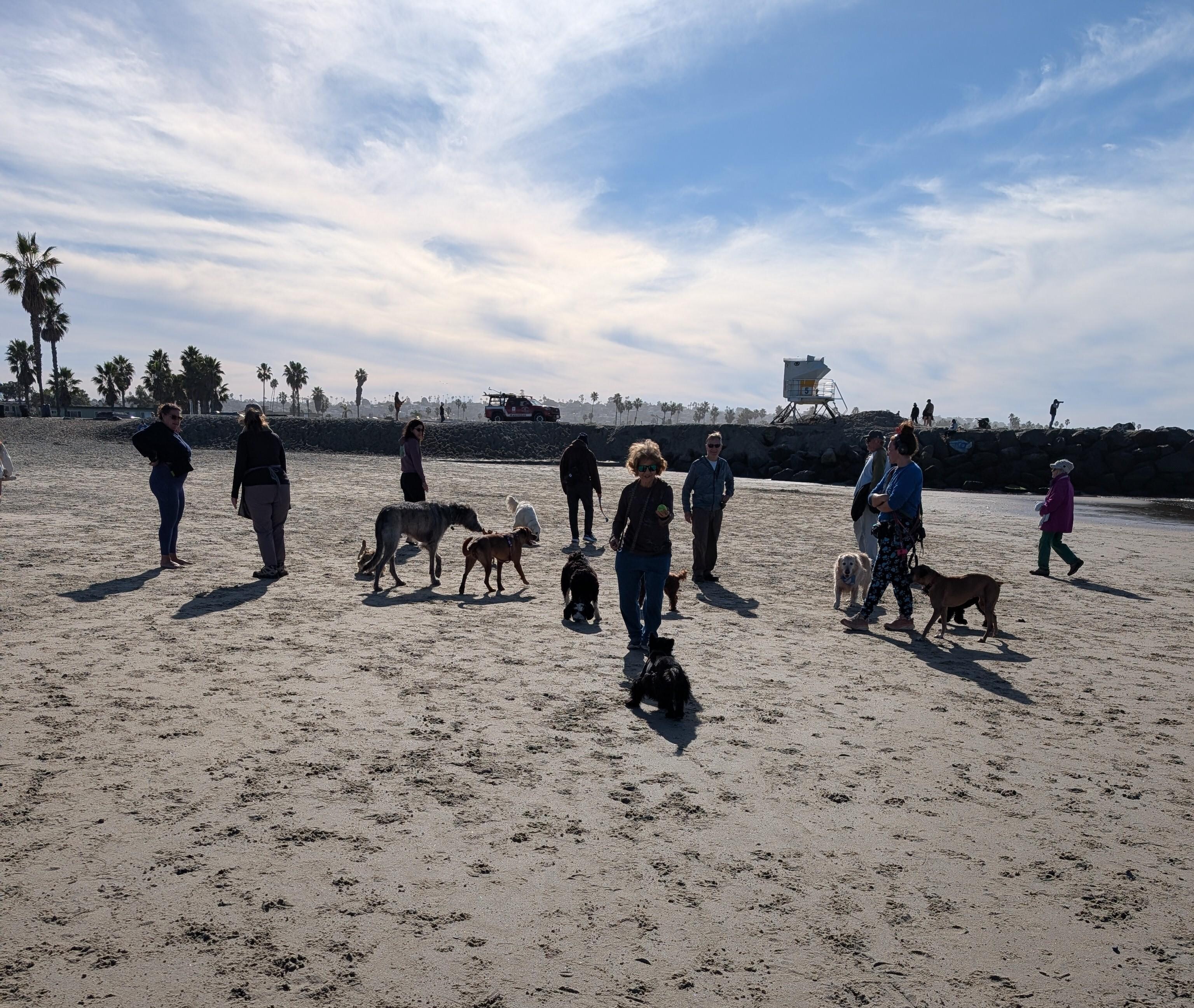 Dog beach. 