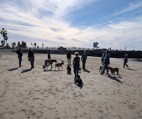 Dog beach.