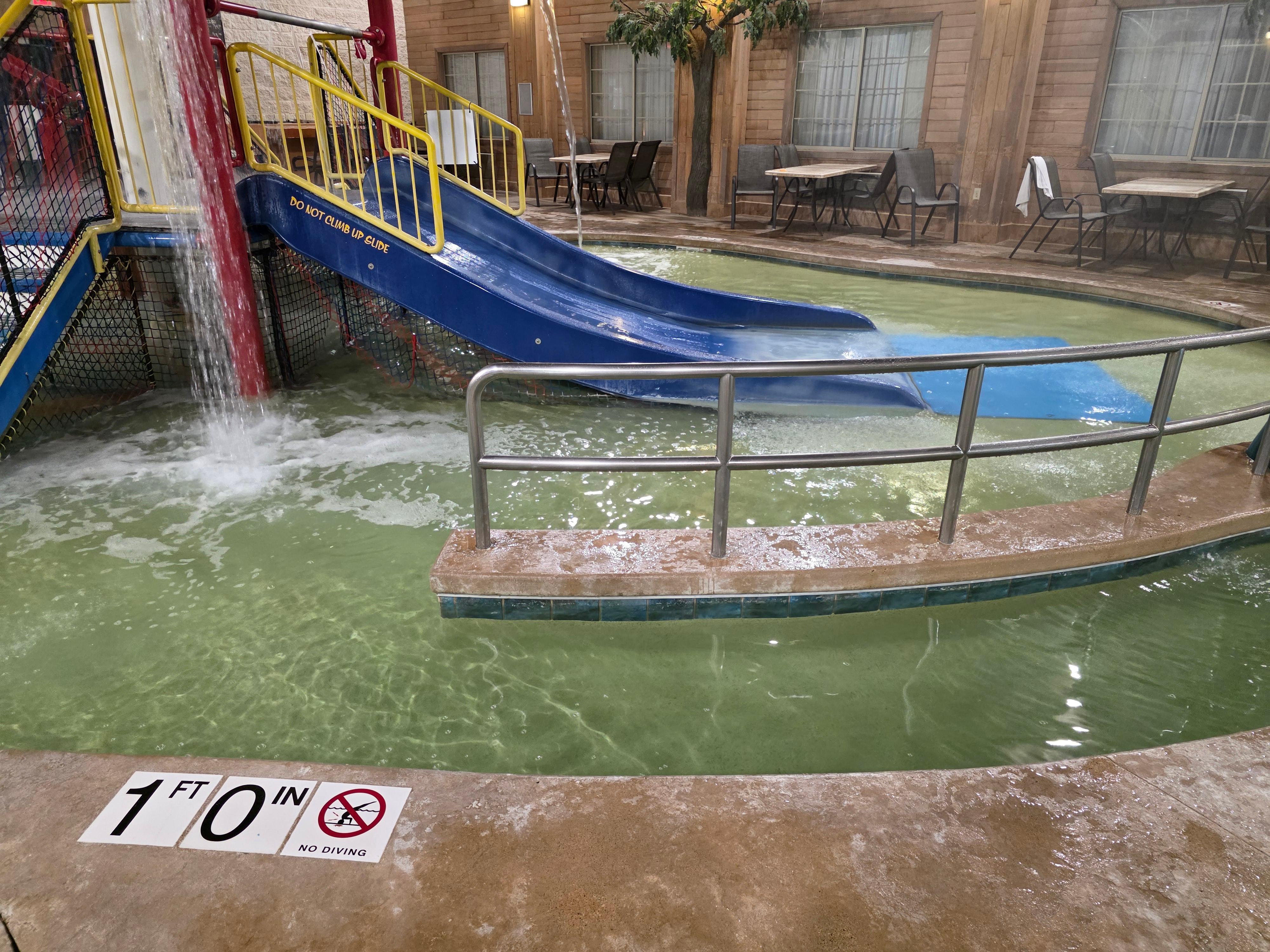 Green, murky, and gross