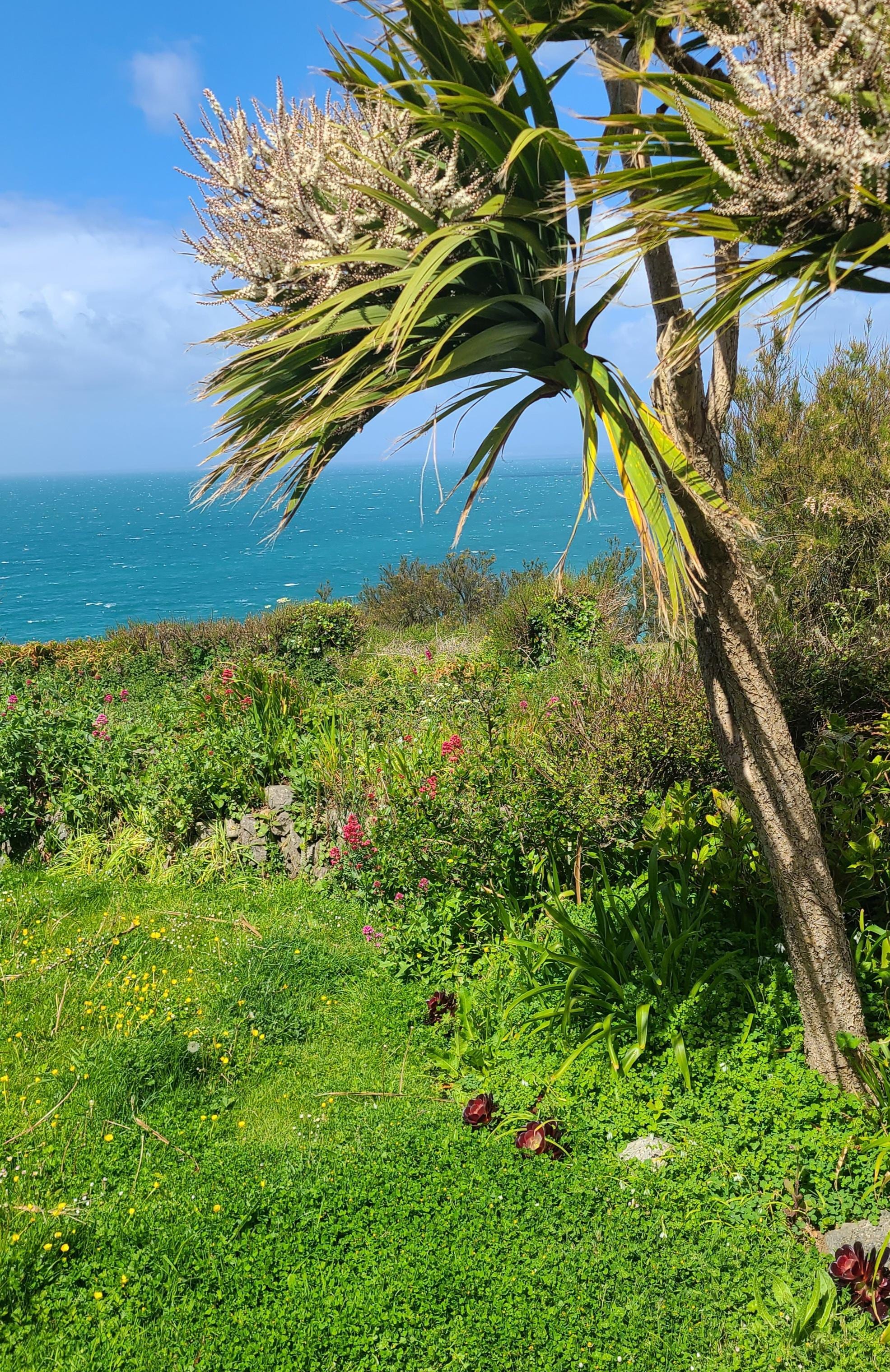 View from the side of the property.