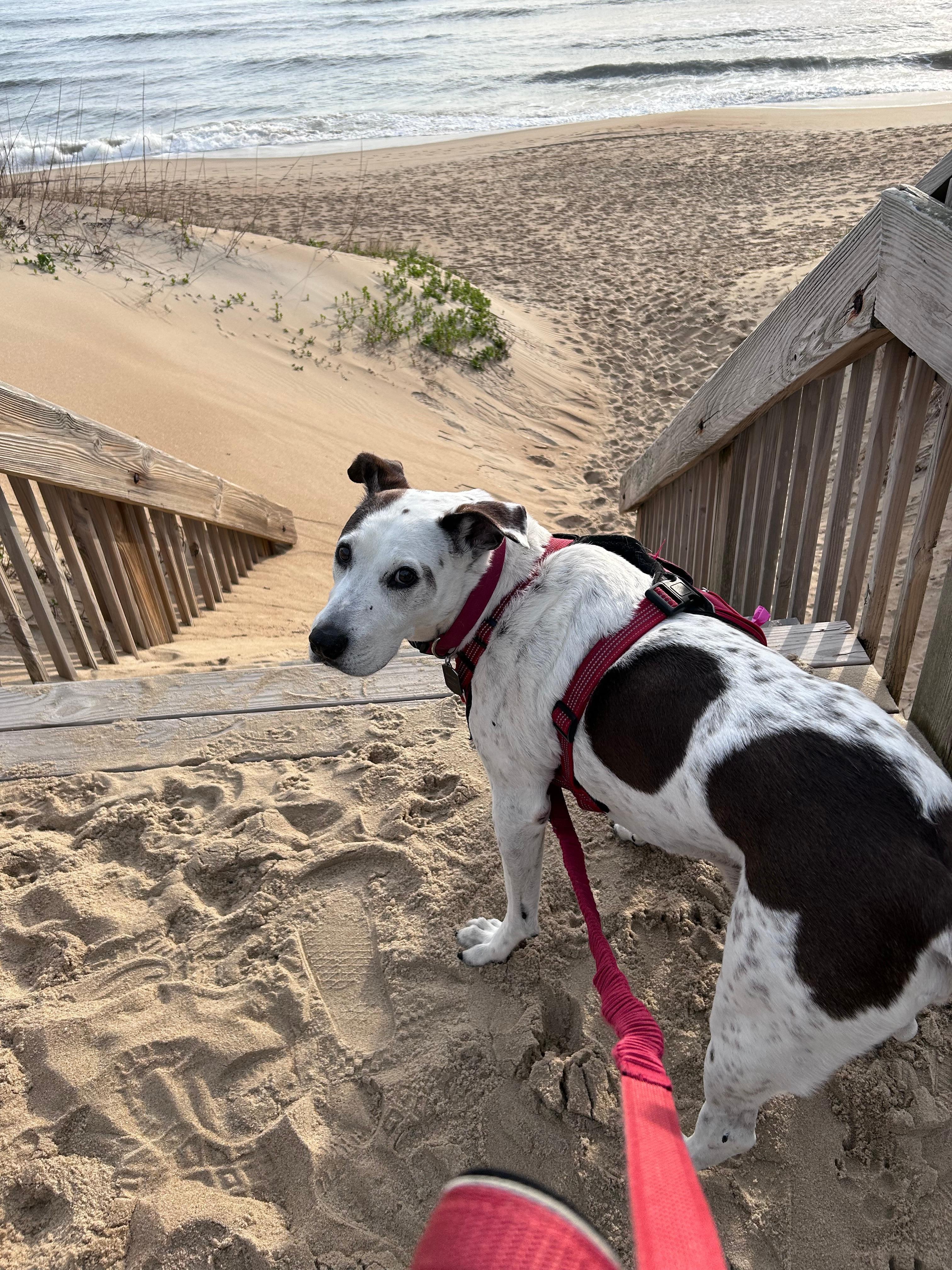 Super close to the beach