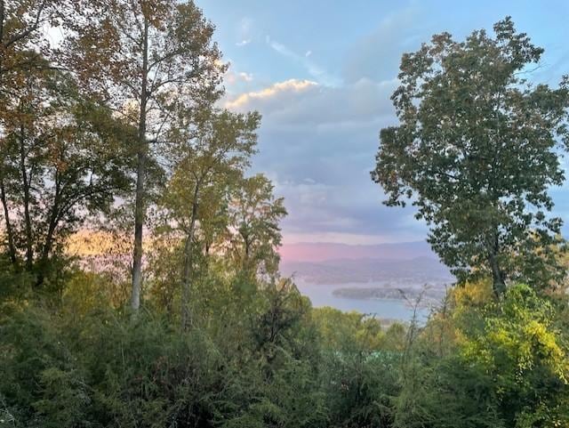 The view from back deck area.