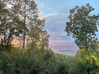 The view from back deck area.