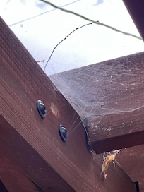 These spiderwebs were above the hot tub.