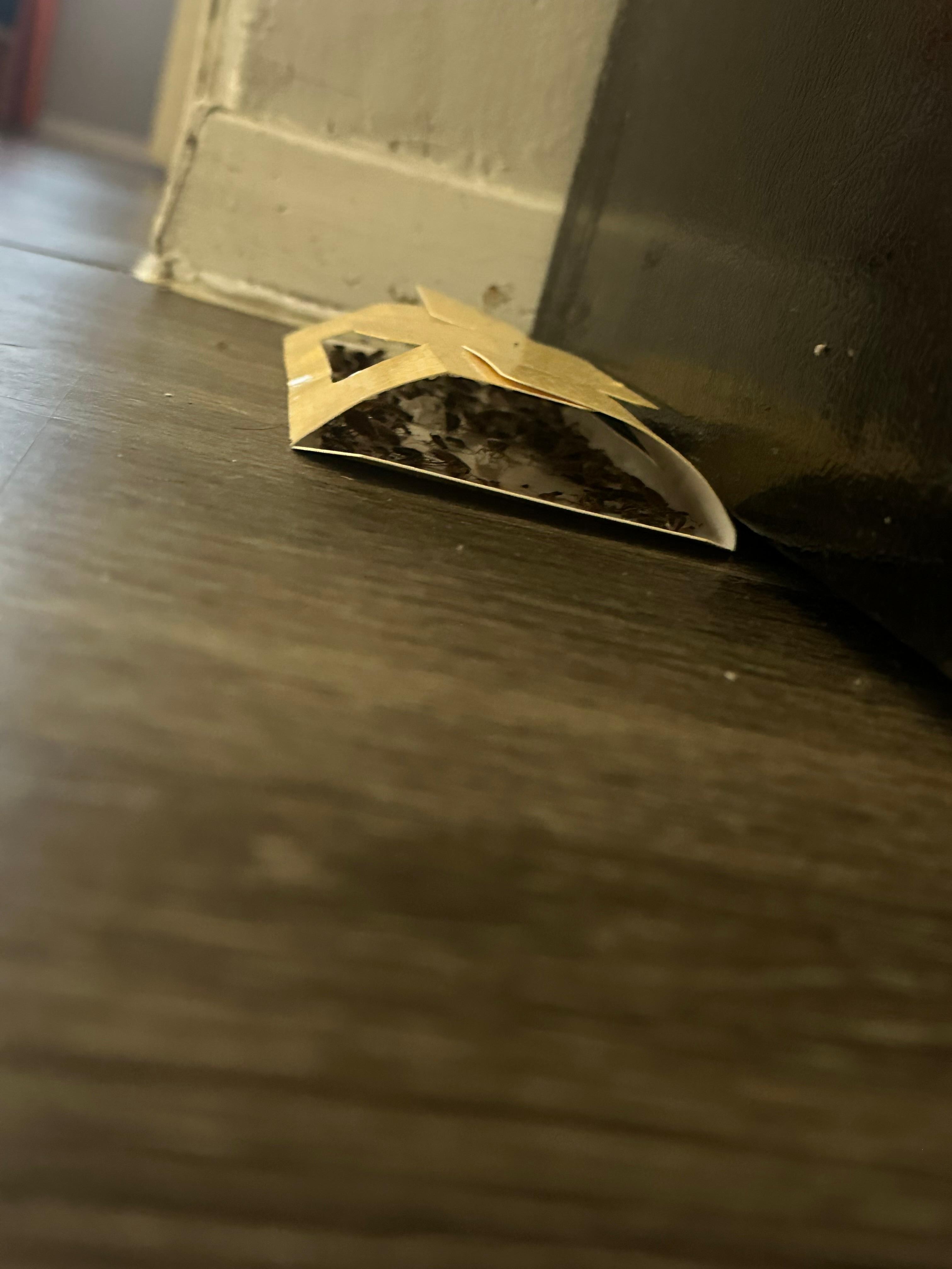 Bug trap that is FULL