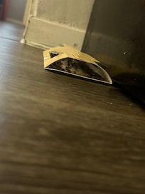 Bug trap that is FULL