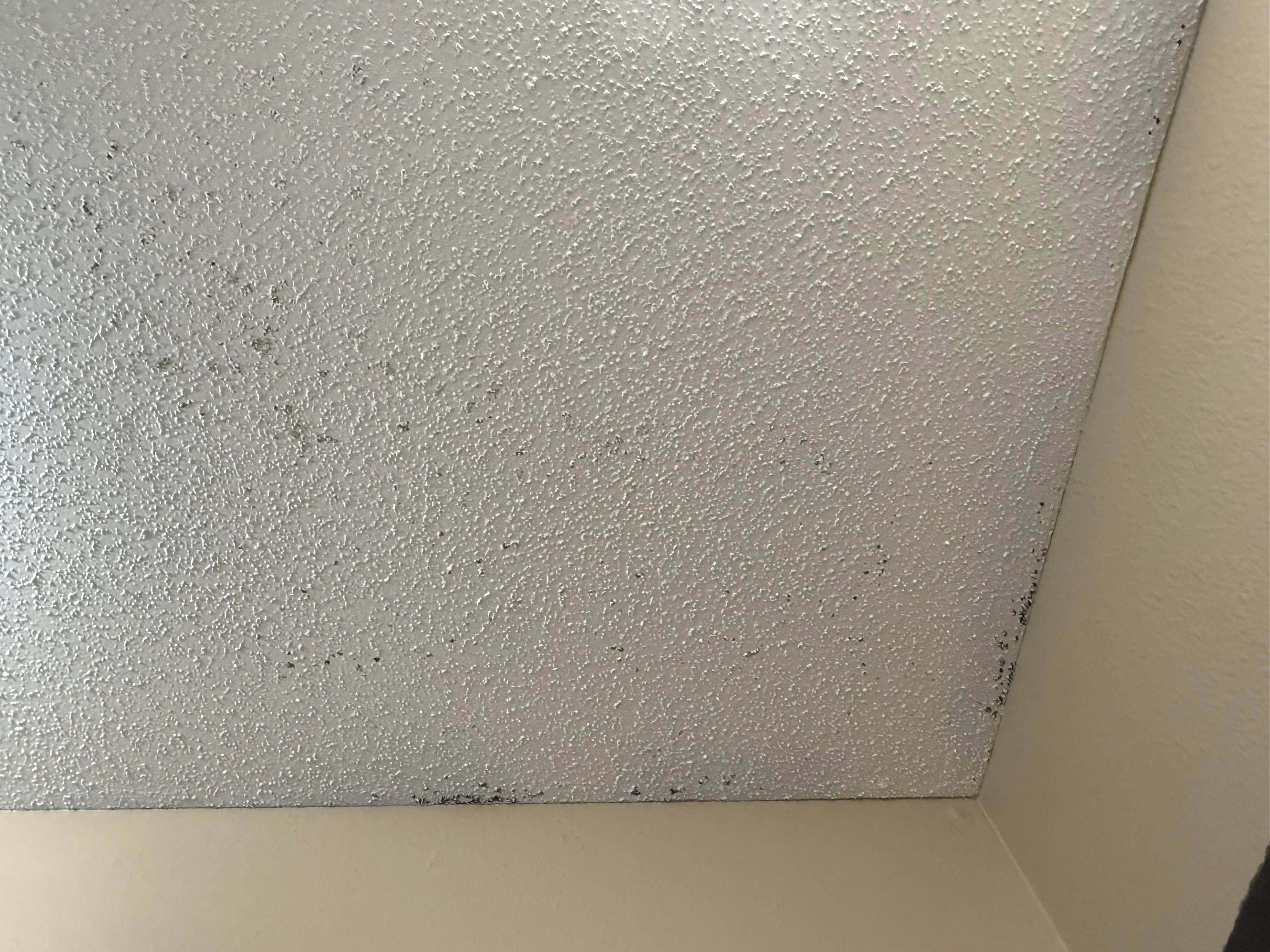 Moldy bathroom ceiling 