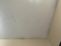 Moldy bathroom ceiling