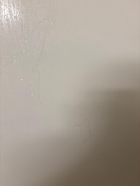 Hairs on shower wall