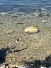 Biscayne National Park