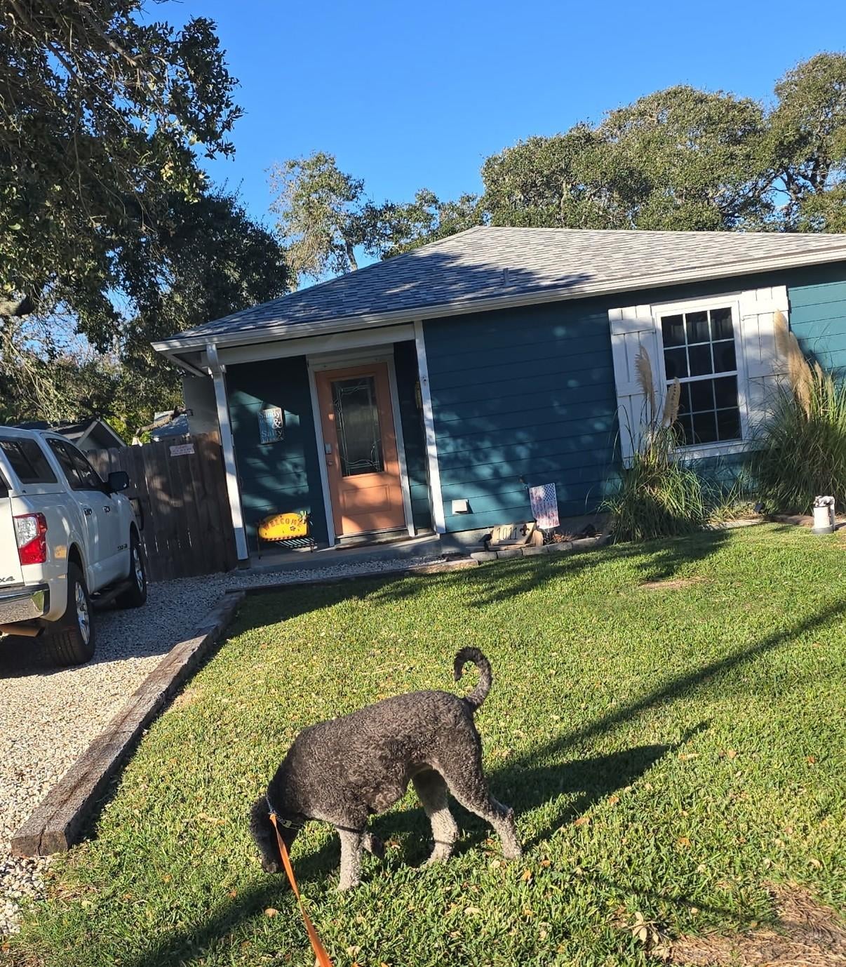 Lovely from the front