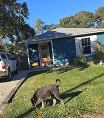 Lovely from the front