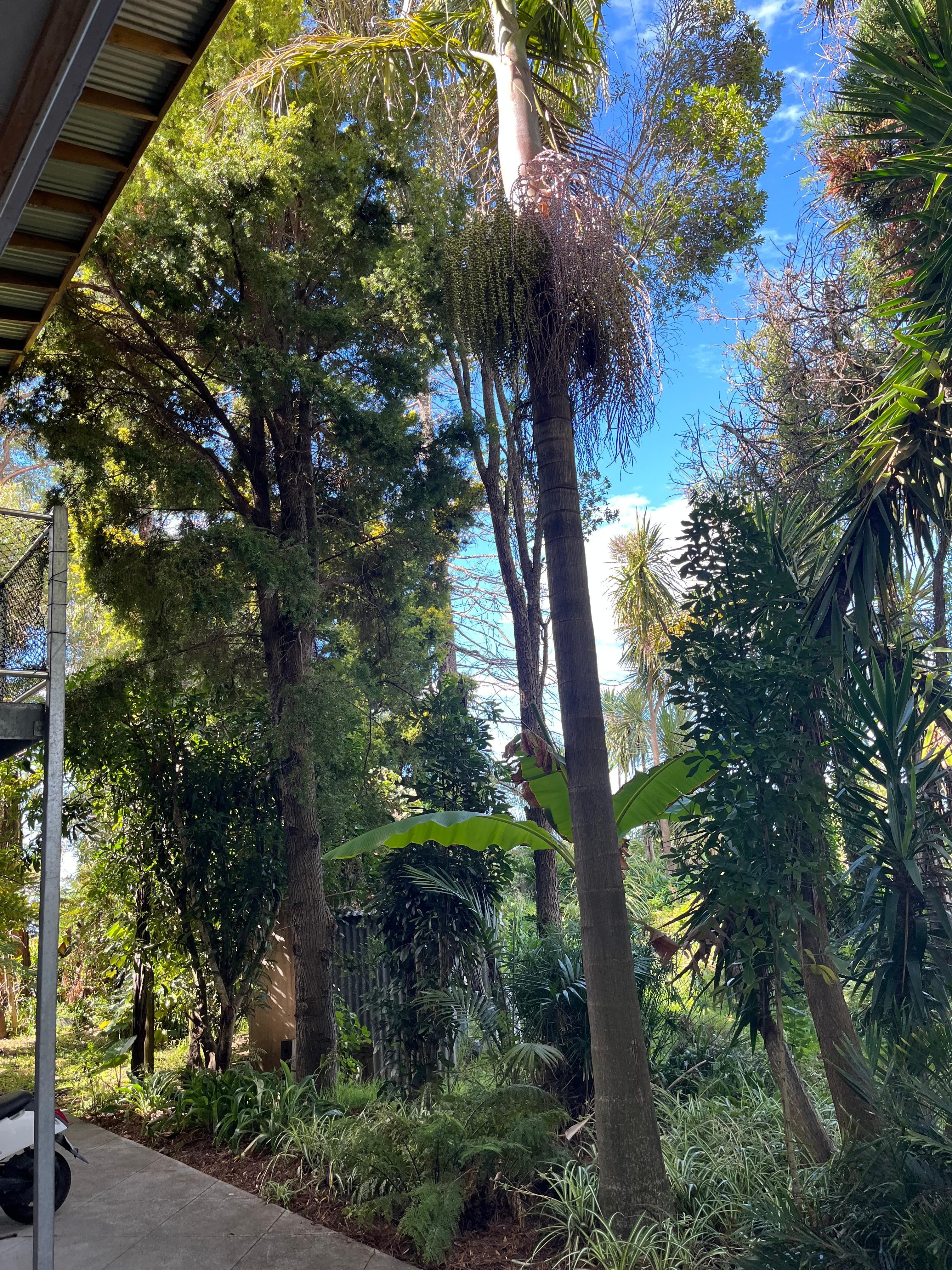 View from lower entry point