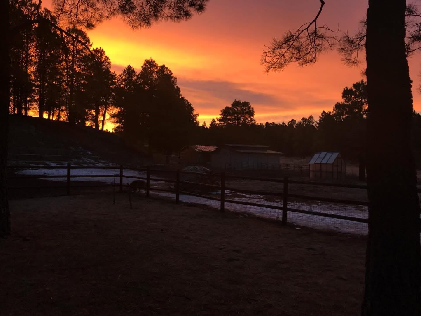 The property at sunset 