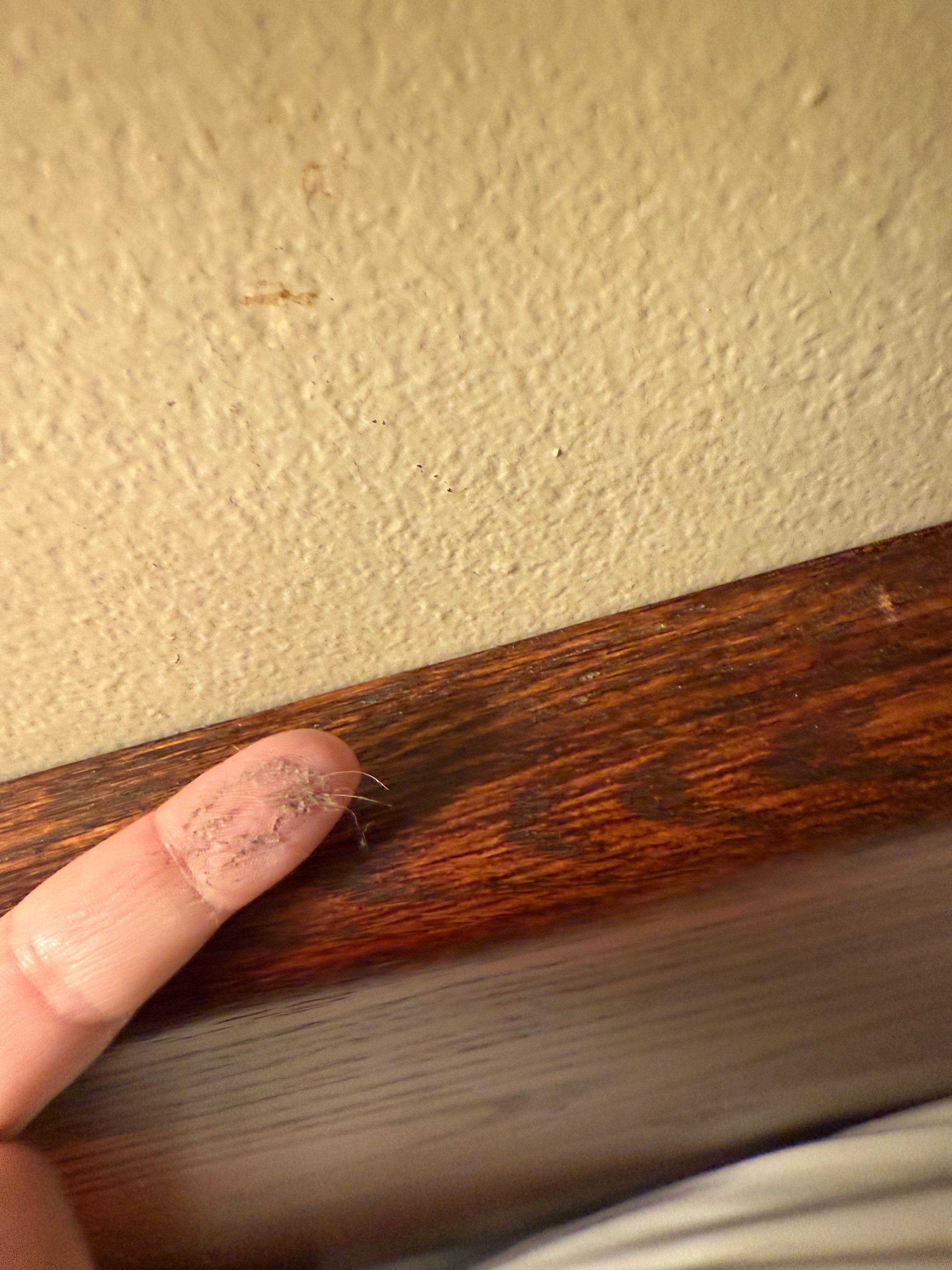 This just shows how dirty the headboard was. This room was so disgustingly dirty.