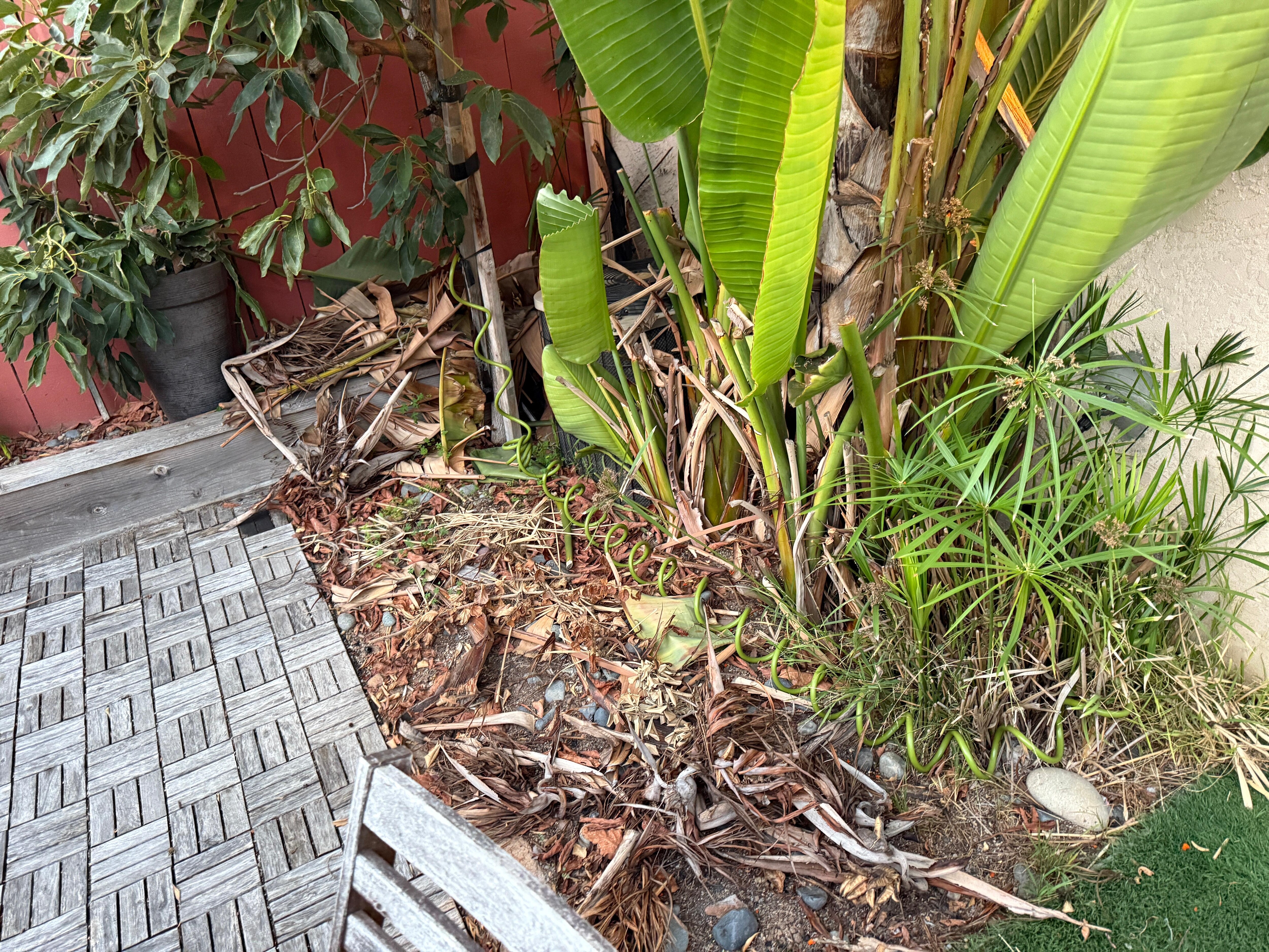 No landscaping brush clean up 