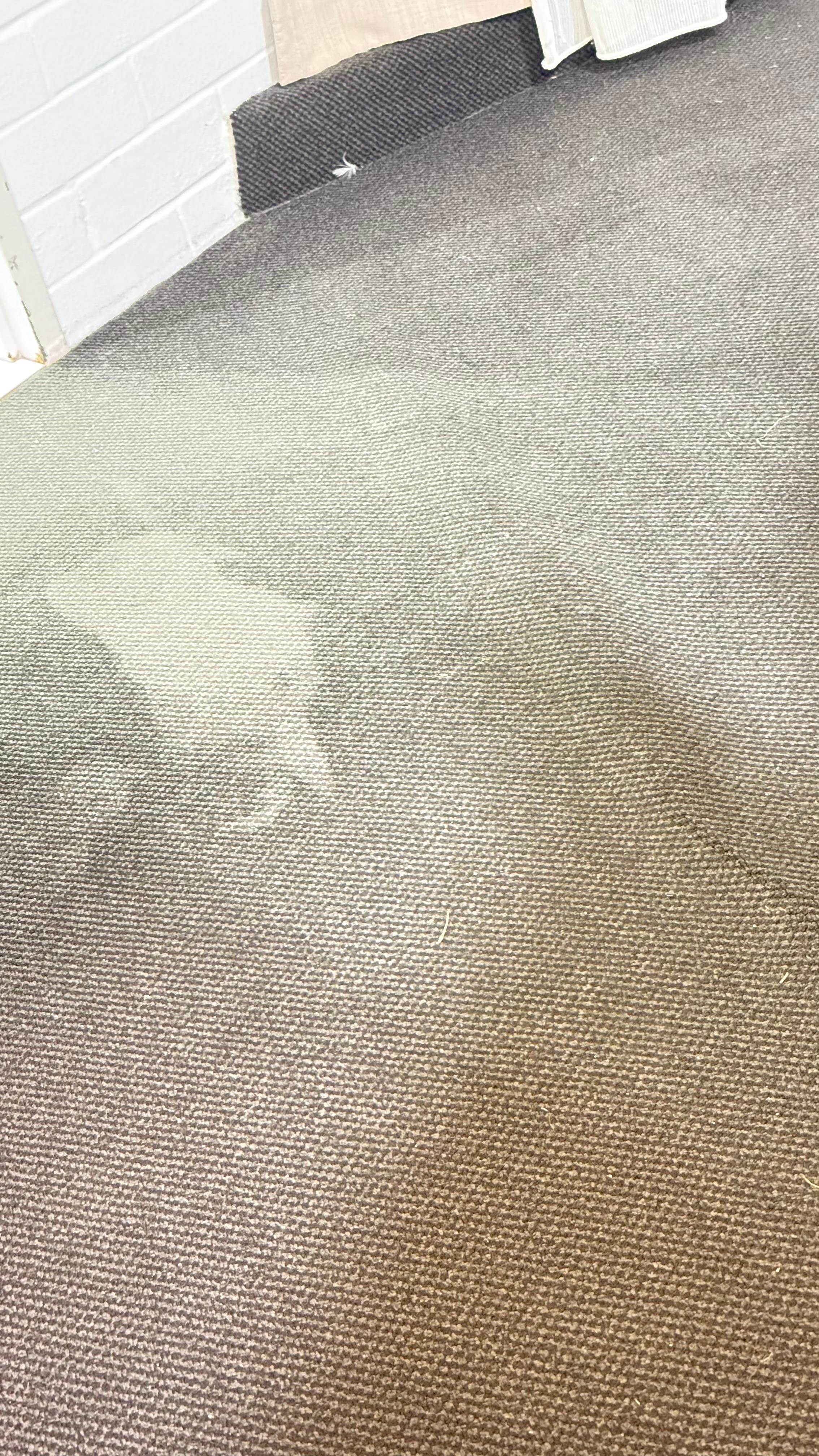 Sorry and stained carpets