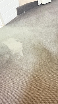 Sorry and stained carpets