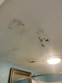 Moldy bathroom ceiling