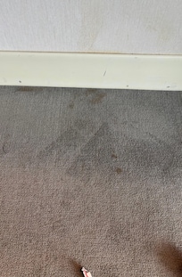 Floor and wall stains
