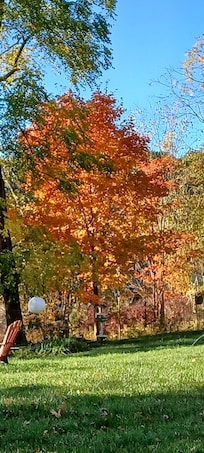 Beautiful fall colour