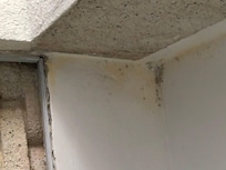 Moisissure sur le plafond