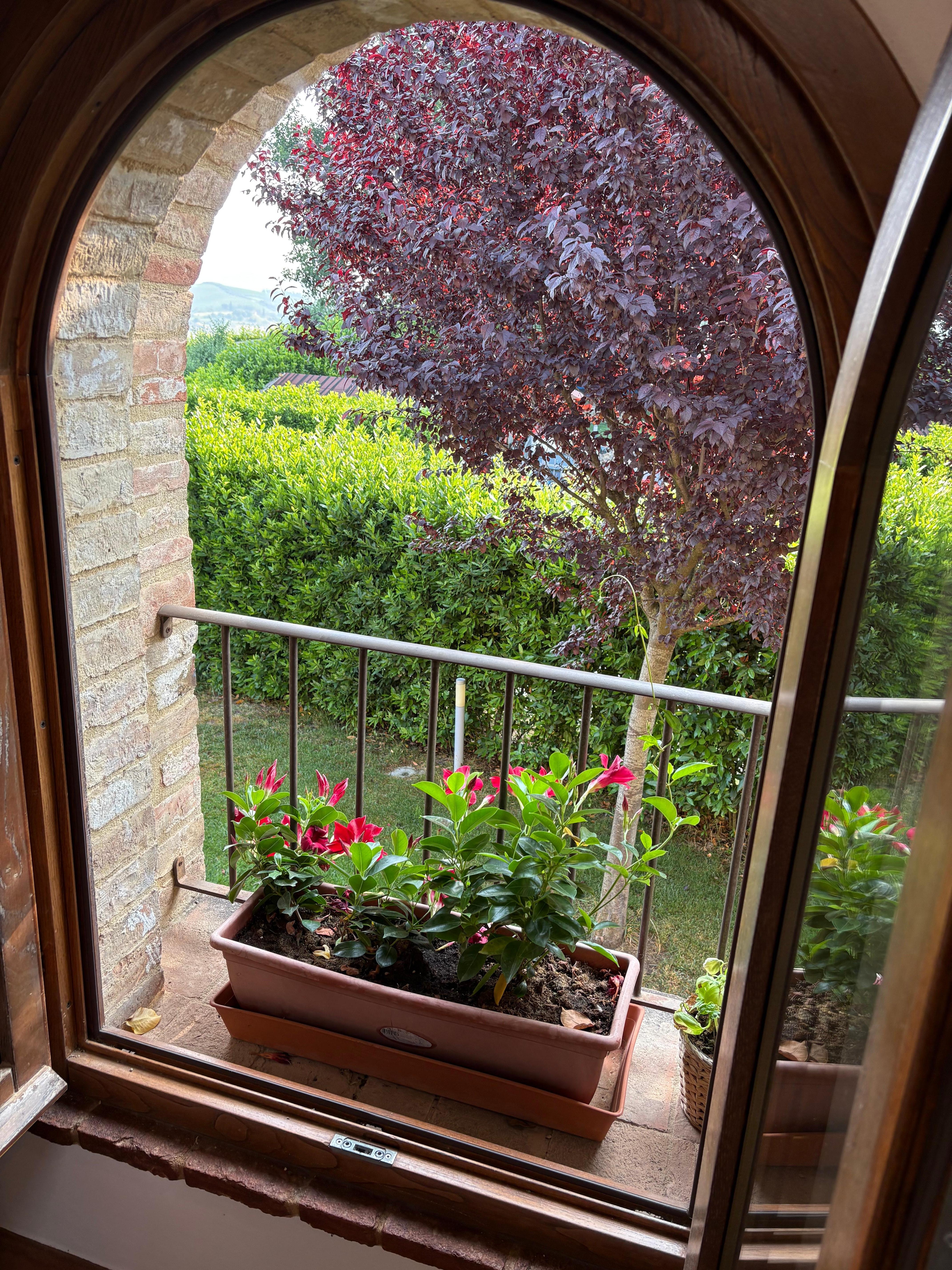 Window in breakfast room