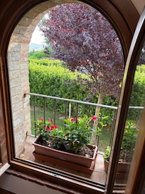Window in breakfast room