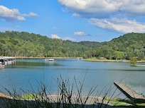 View from the patio
